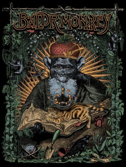 BaldrMonkey